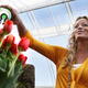 Illustration for article titled Commenter Of The Day: Tulip Time Edition